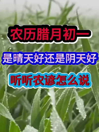 农历腊月初一是晴天好还是阴天好听听农谚怎么说 #农业谚语 #农业种植 #谚语分享 #三农 #分享农业知识帮农民增产增收