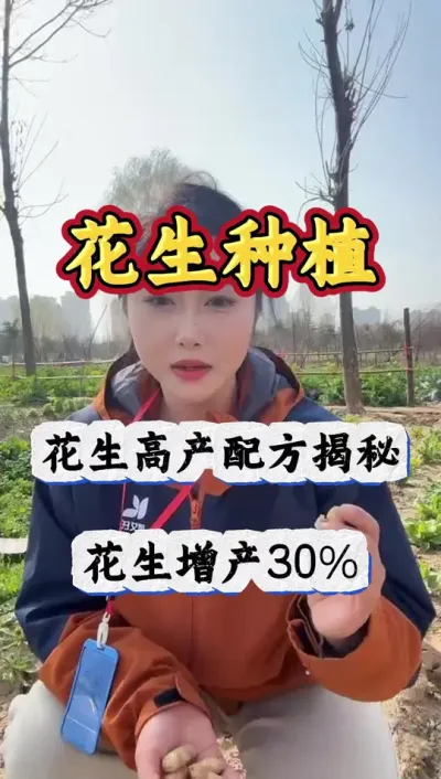 花生种植的时候，记住这些种植小技巧#花生种植 #分享农业知识帮农民增产增收 #传播农业小知识 #新农人计划2025 #三农种植