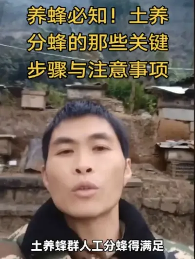 #内容启发搜索 #谌蜜 #养蜂技术 #养蜂技术分享 ，养蜂必知！土养分蜂的那些关键步骤与注意事项@抖音小助手 @DOU+小助手