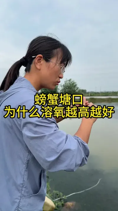螃蟹塘口为什么溶氧越高越好！！！ #渔多多养殖模式 #三农 #水产养殖技术 #新农人计划2025 #高密度养殖