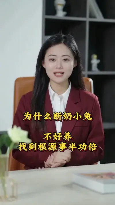 为什么断奶小兔不好养，找到根源事半功倍 #养兔  #肉兔养殖  #养兔人  #养兔小妙招