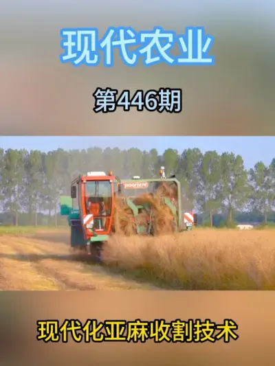 现代化亚麻收割技术 #现代农业机械 #助力三农 #农业种植 #抖音农机 #农机