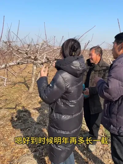 今年第二次来周口，10年左右树，每年都赔钱，今年净挣13万多，这样看明年的产量会更好，我也放心了#传播农业小知识 #分享农业知识帮农民增产增收 #农业种植 #果树管理技术 #正能量