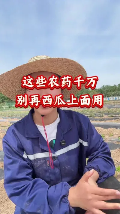 西瓜种植 这些农药千万别用西瓜上面用 #西瓜种植 #西瓜管理 #西瓜高产