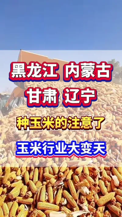 黑龙江，辽宁，内蒙古，甘肃，种玉米的老乡注意了！玉米行业大变天！#玉米种植  #玉米高产  #玉米种植管理技术  #玉米施肥
