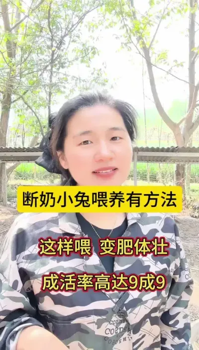 小兔断奶喂料不用慌，学会这样喂成活率高达9成9.变肥体壮#科学养兔 #肉兔 #养兔人 #兔子 #喂兔子