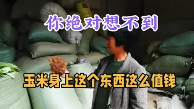农村冷门致富路子，一天1000元起步，利润大到吓人，闷声发财 #农村致富好项目 #农村小成本创业项目推荐 #助力三农 #返乡创业新农人 #今日三农爆款