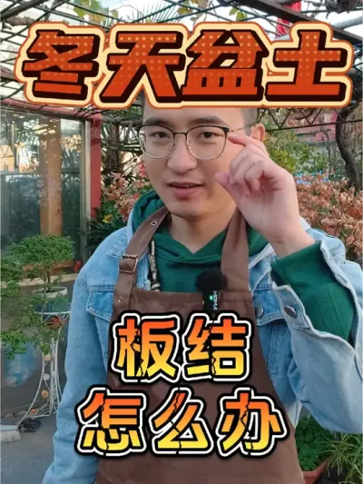 盆土冬天容易板结怎么办？ #养花 #土壤板结 #土壤活化剂