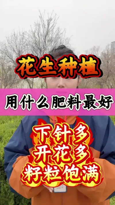 花生底肥怎么选 给花生施底肥一定要用上他喜欢的配方#花生种植 #花生管理 #花生增产#服务三农支持三农 #农业种植技术