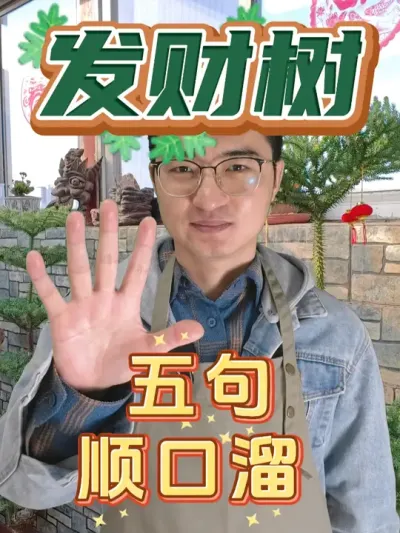 养发财树，记住这五句顺口溜！ #养花  #花卉绿植  #发财树