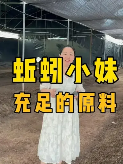 优先保证要出货的蚯蚓有充足的原料#蚯蚓养殖 #三农 #农村创业