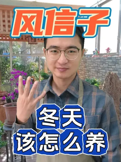 冬天如何养好风信子？ #养花 #风信子 #养花小知识