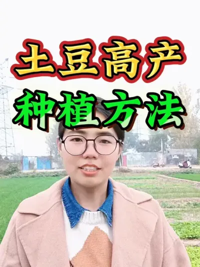分享一个土豆高产种植的方法，冬至过后就要种土豆了#土豆种植技巧和方法 #土豆 #三农 #农业 #土豆种植