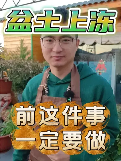 盆土上冻之前，这件事一定要做! #养花 #植物防冻 #植物防冻液