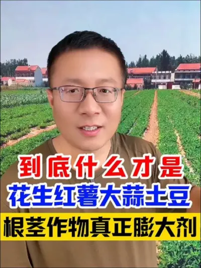 到底什么才是花生红薯大蒜土豆，根茎作物真正的膨大剂！  #花生种植 #花生膨大粒粒饱 #花生高产 #花生高产小妙招 #分享农业知识帮农民增产增收