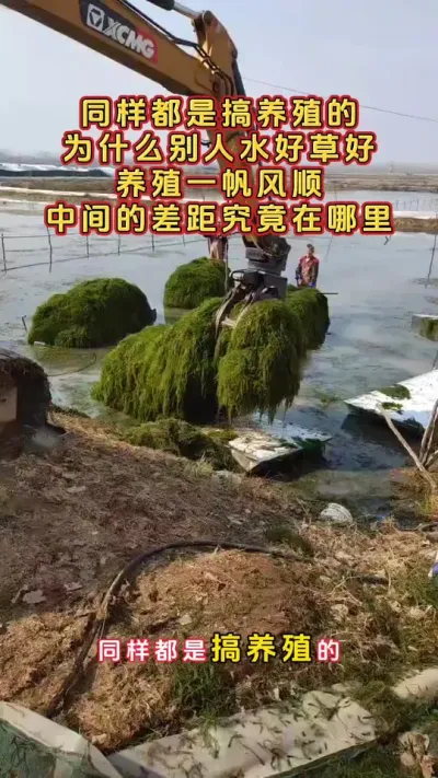 同样都是搞养殖的，为什么别人就是水好草好养殖都是一帆风顺？#河蟹养殖 #鱼虾蟹养殖 #螃蟹养殖 #大闸蟹养殖 #三农 @DOU+小助手