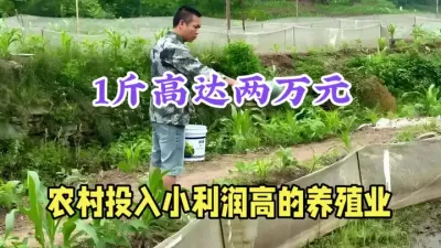 冷门暴利养殖，  投资小，周期短，成本低，1公斤4万不愁卖 #返乡创业新农人 #三农养殖 #农村致富好项目 #蟾蜍养殖 #抖音助农