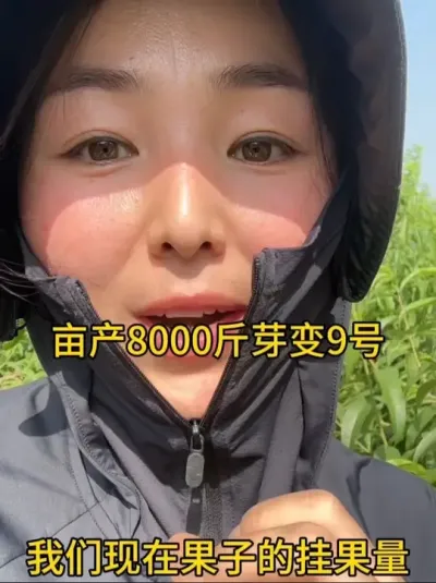 200亩果园！这边30亩株距1.5米，行距3.5芽变9号树，#分享农业知识帮农民增产增收 #分享农业植保技术知识传播正能量 #农业种植