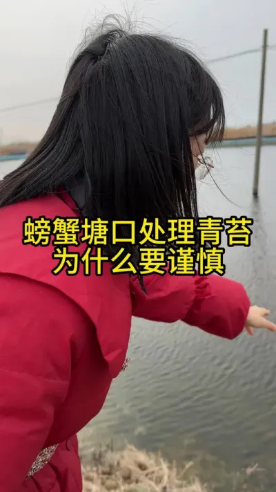 螃蟹塘口，处理青苔为什么要谨慎！！！ #渔多多养殖模式 #水产养殖 #三农 #河蟹养殖 #大闸蟹养殖