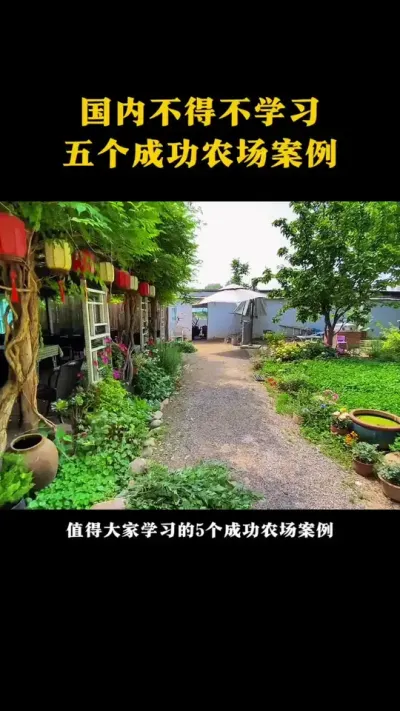 国内不得不学习的五个成功农场案例#乡村振兴 #生态农场 #亲子农场 #家庭农场