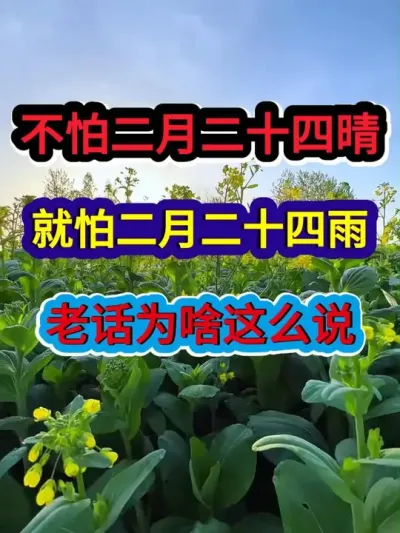 不怕二月二十四晴就怕二月二十四雨老话为啥这么说 #农业谚语 #农业种植 #三农 #农谚 #农谚老话