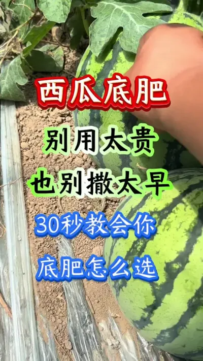 西瓜种植 西瓜底肥别用太贵也别撒太早30秒教会你底肥怎么选#西瓜种植#西瓜管理#西瓜底肥#早春西瓜