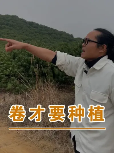 卷，证明有利可图#广西灵山荔枝果苗#农业创业#抖音新农人计划2025#吕老师种果苗