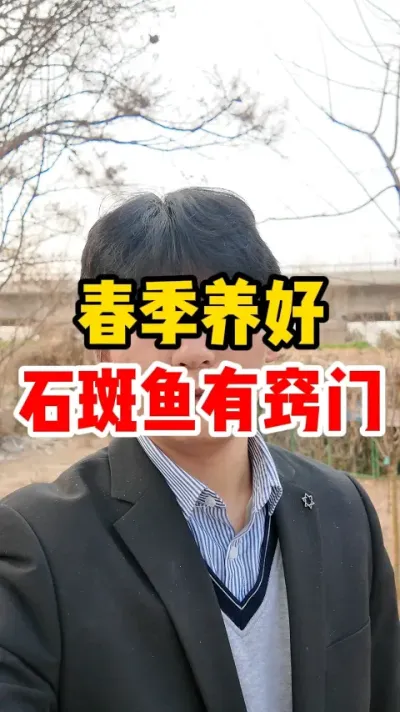 春季养好石斑鱼有窍门 #石斑鱼养殖 #鱼池 #鱼 #养鱼人