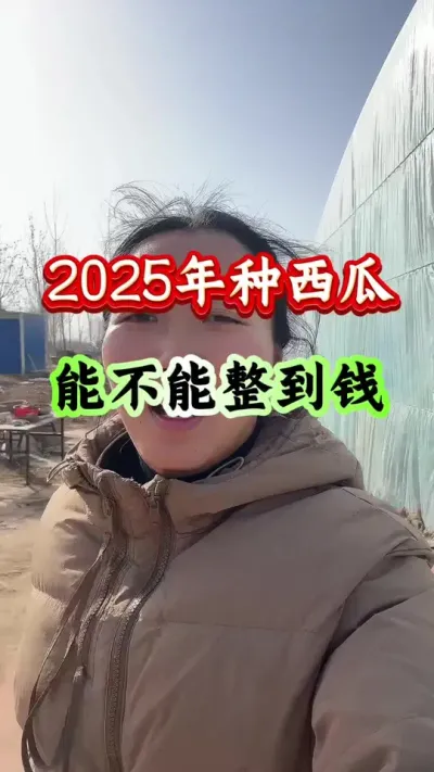 西瓜种植 2025年种西瓜能不能赚到钱#西瓜种植 #西瓜管理