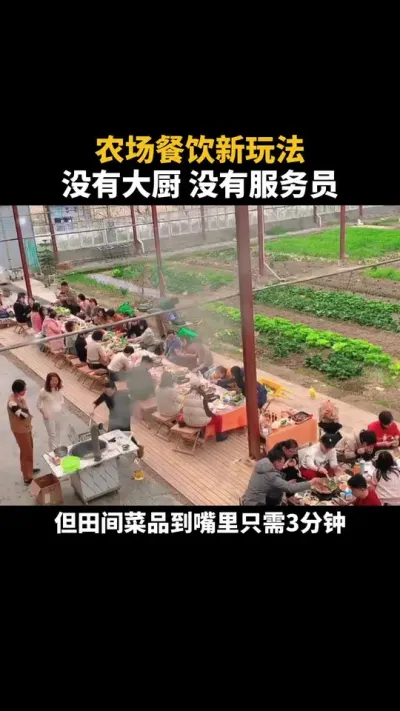 农场餐饮新玩法 #农场 #农庄 #乡村振兴 #研学 #餐饮 @梦幻庄园 #种地偷菜整蛊时刻
