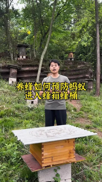 在养蜂的过程中，如何预防蚂蚁进入我们的蜂箱#养蜂 #诱蜂 #养蜂技术 @抖音小助手