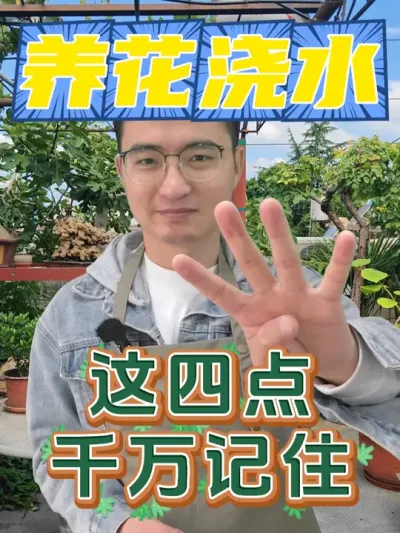 冬天养花浇水，这四点千万别做错！ #养花  #花卉绿植  #浇水