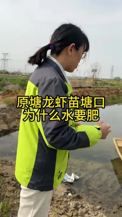 原塘龙虾苗的塘口，为什么要肥水！！！ #渔多多养殖模式 #水产养殖 #大闸蟹养殖 #三农 #河蟹养殖