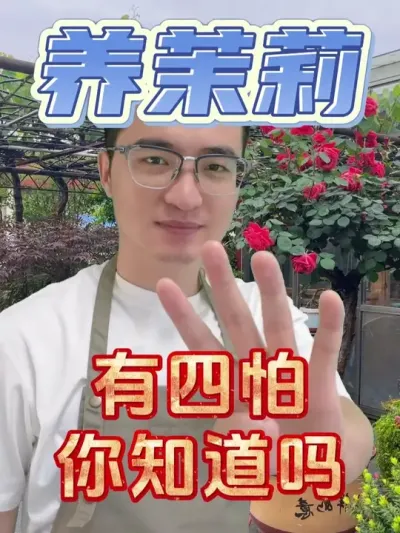 茉莉花有四怕，你知道吗？ #养花  #茉莉花  #硫酸亚铁