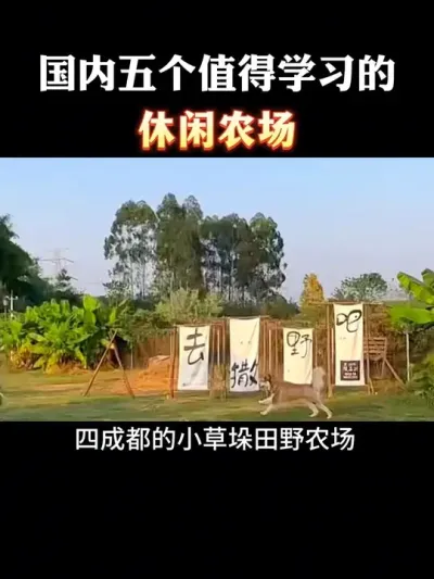 国内五个最值得学习的休闲农场#乡村扶持 #休闲农业 #乡村振兴 #家庭农场