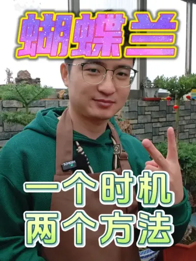 掌握一个时机两个方法，蝴蝶兰想养死都难！ #养花  #花卉绿植  #蝴蝶兰