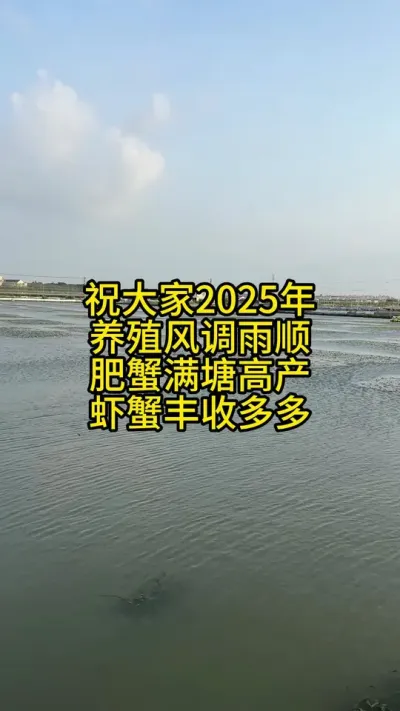 祝大家2025年，养殖风调雨顺，肥蟹满塘高产，虾蟹丰收多多！ #渔多多养殖模式 #三农 #河蟹养殖 #水产养殖 #新农人计划2025