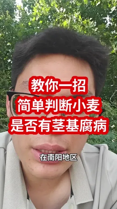 #抖音助农 #分享农业知识帮农民增产增收 #小麦收割 #小麦种植 #小麦根部病害