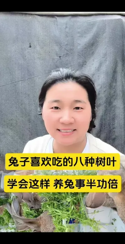 兔子喜欢吃的八种树叶，喂对事半功倍，远离兔丙#兔子 #养兔人 #肉兔养殖 #散养兔