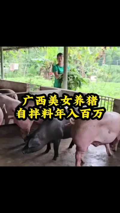 #猪喂什么饲料长得最快 #养猪人不容易 #自繁自养母猪 #养猪人加油干 #三农养猪人