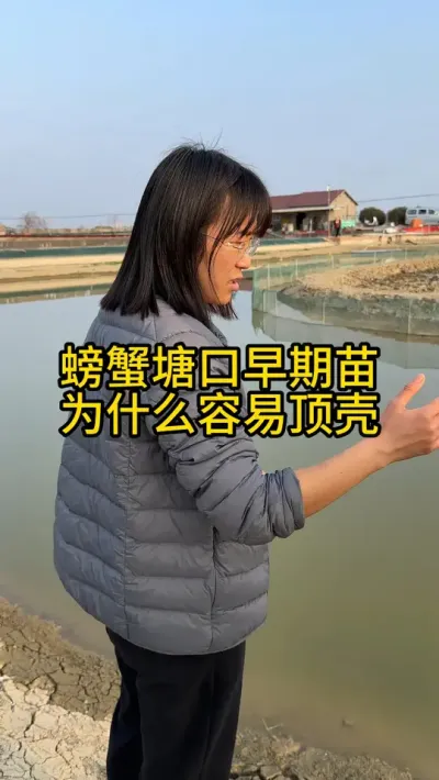 螃蟹塘口早期苗为什么容易顶壳！！！ #渔多多养殖模式 #河蟹养殖 #水产养殖 #三农 #大闸蟹养殖