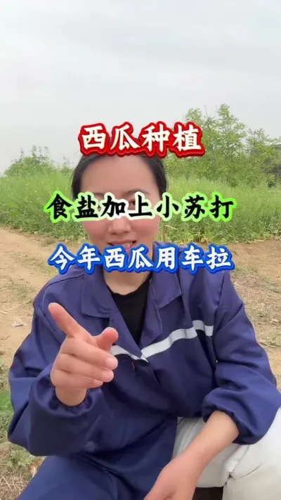 西瓜种植 西瓜种植食盐加上小苏打今年西瓜用车拉 #西瓜种植 #西瓜管理 #西瓜高产 #病害防治