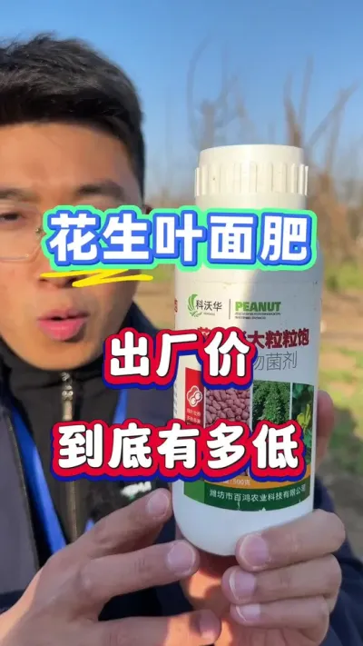 花生叶面肥，厂家直销，价格实惠效果好！#花生种植  #花生高产 #花生种植管理技术  #花生叶面肥 #增产增收