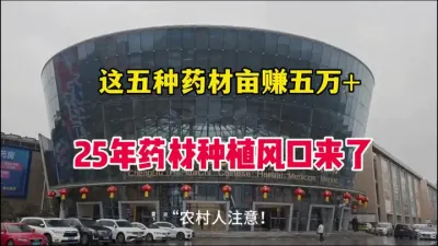不要再种玉米了，这五种药材亩赚5万+，中药材种植风口来了 #药材种植 #农村致富好项目 #返乡创业新农人 #抖音助农 #金线莲种植