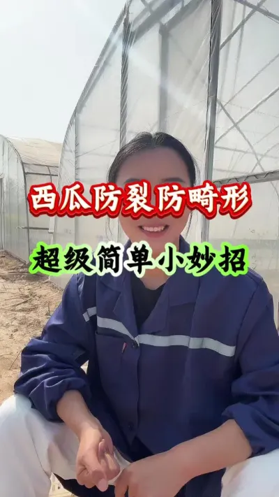 西瓜种植 西瓜防裂防畸形超级简单小妙招 #西瓜种植 #西瓜管理 #西瓜高产