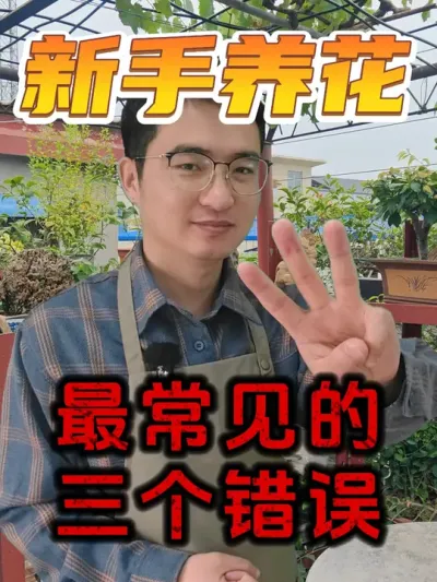 养花最常犯的三个错误，看看你有吗！ #养花  #花卉绿植  #养花小知识