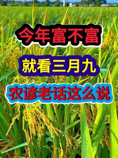 今年富不富就看三月九农谚老话这么说 #农业谚语 #服务三农支持三农 #农业种植 #谚语 #分享农业知识帮农民增产增收