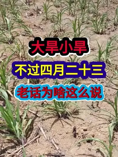 大旱小旱不过四月二十三老话为啥这么说 #农业谚语 #农谚 #农谚老话 #农业种植 #三农