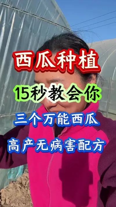 西瓜种植 15秒教会你三个万能西瓜高产无病害配方#西瓜种植#西瓜管理#西瓜病害