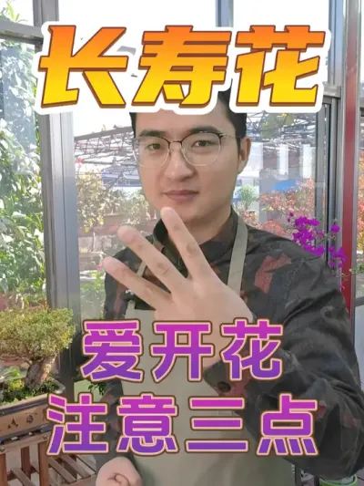 想要长寿花爱开花，这三点一定要注意！ #养花  #长寿花  #养花小技巧